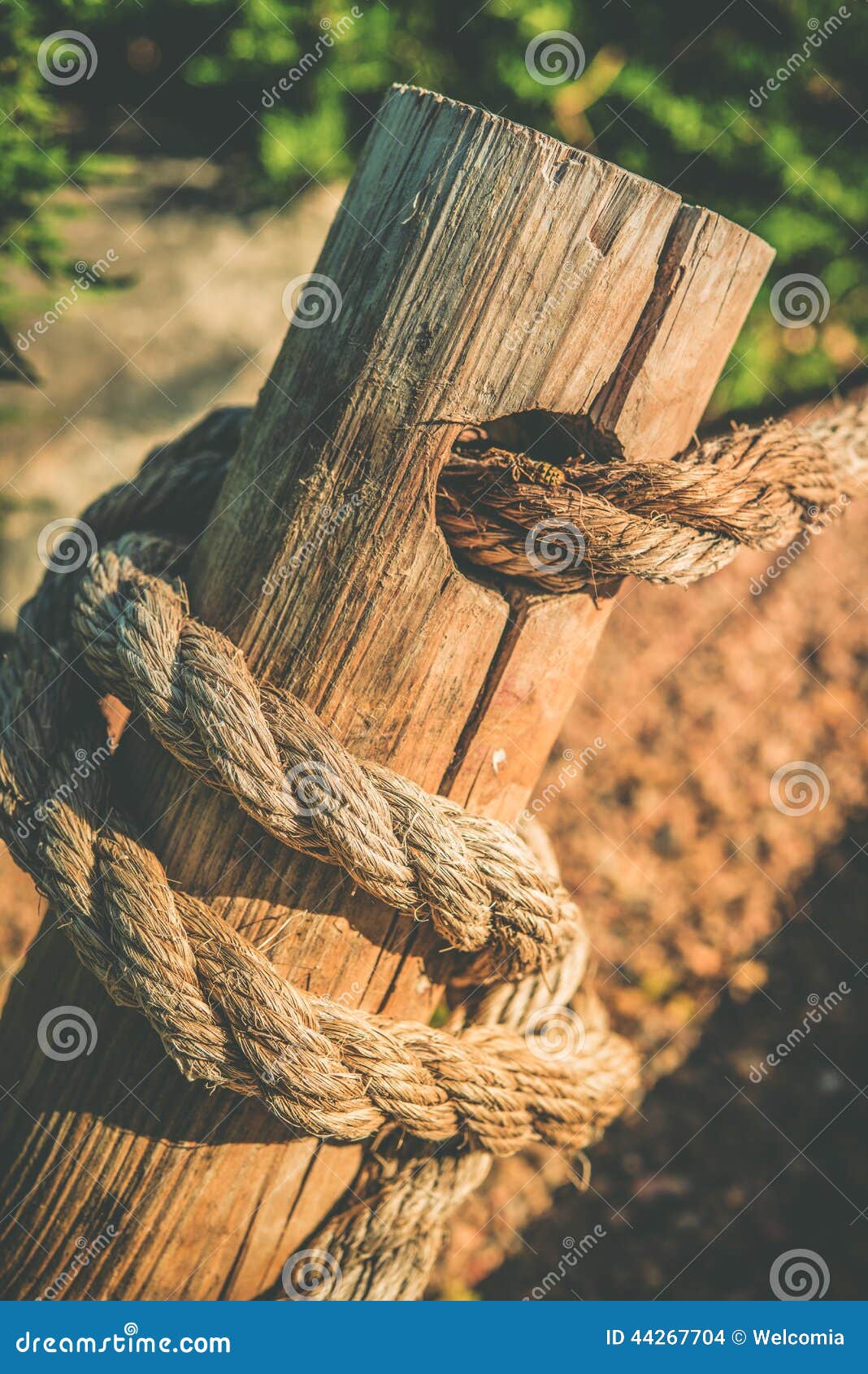 Rope and Wood stock photo. Image of garden, rope, pole 