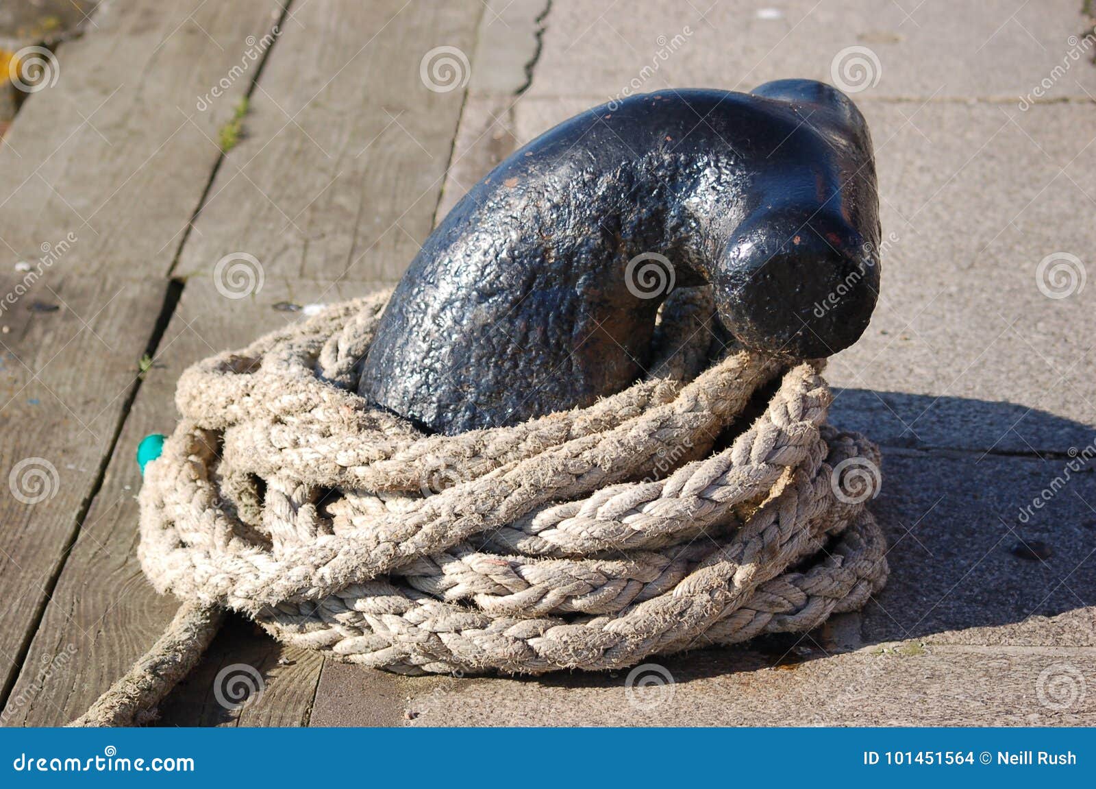 Roped in stock photo. Image of watersports, sport, poole 101451564