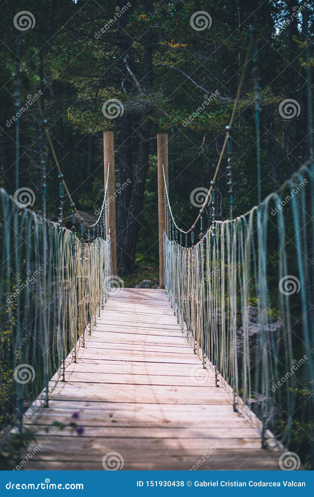 Ropes Bridge Over Small River Perspective Shot Stock Photo Image of