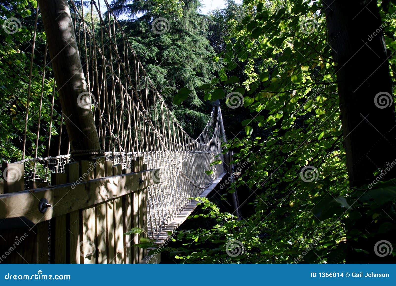 Ropewalk De Cabane Dans Un Arbre De Jardin D'Alnwick Photo stock