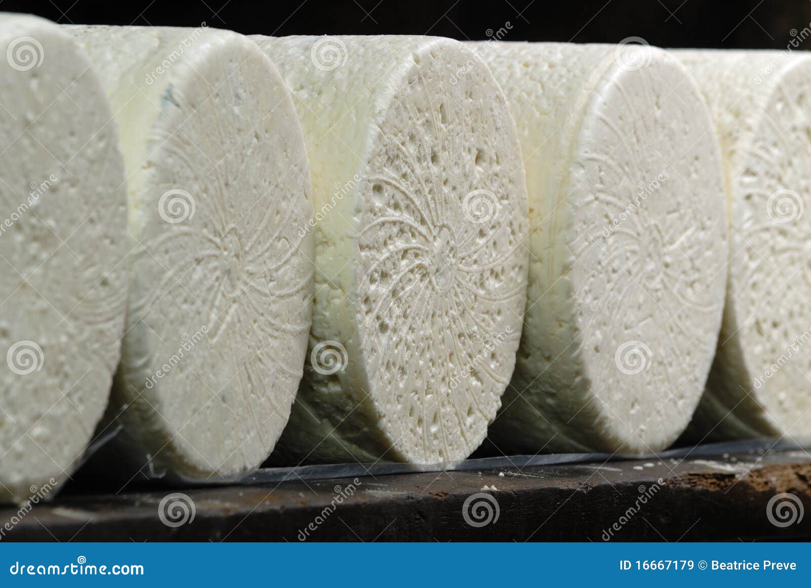 roquefort cheese in refining