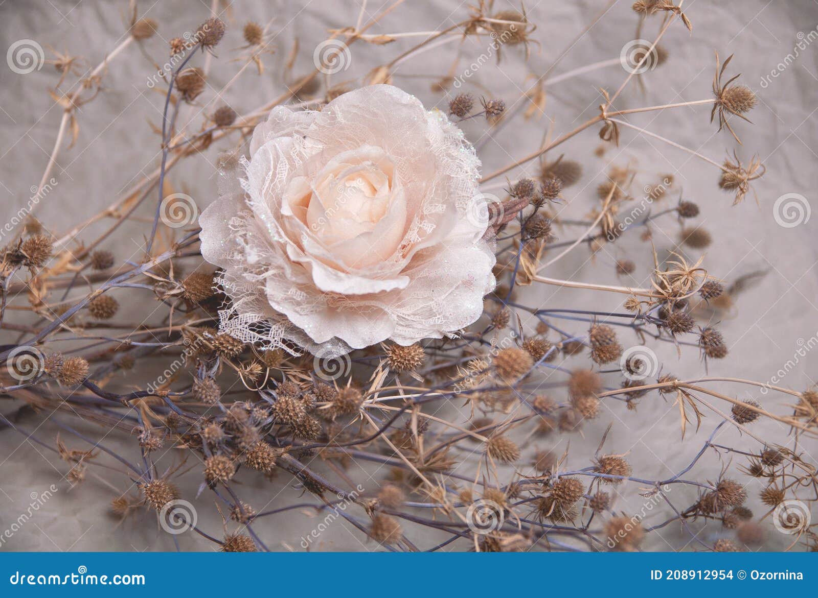 Rosa Artificial En Colores Pastel Con Una Planta De Cardo Foto de archivo -  Imagen de flores, pétalos: 208912954