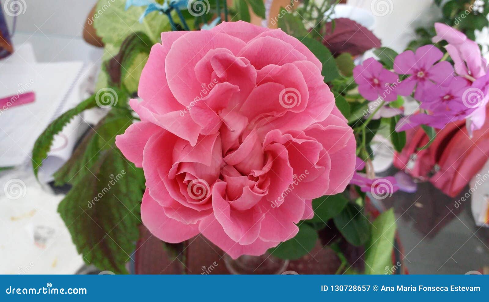 rosa cor de rosa