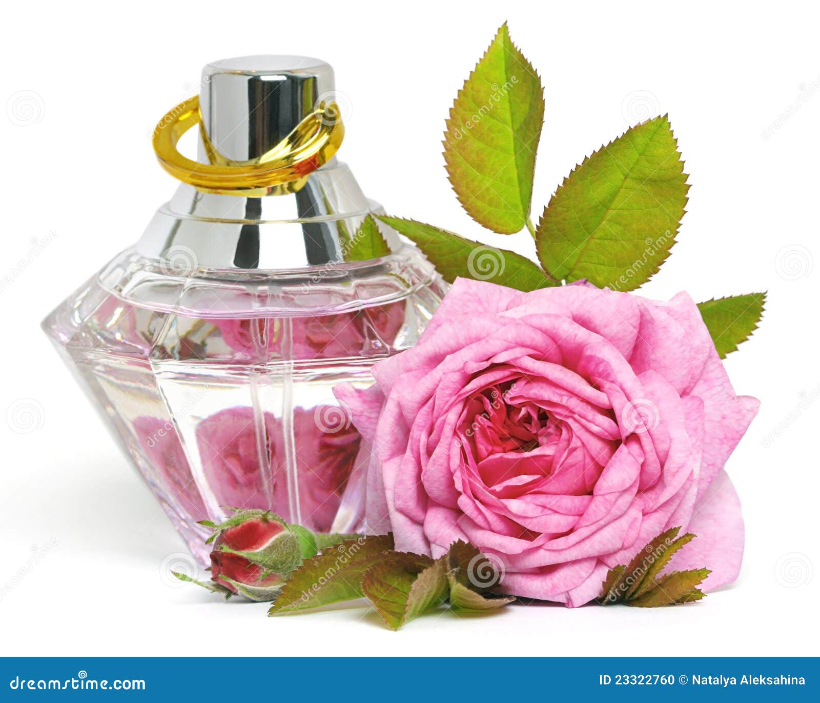 Sentire Profumo Di Rosa Significato Rosa e profumo fotografia stock. Immagine di freschezza - 23322760