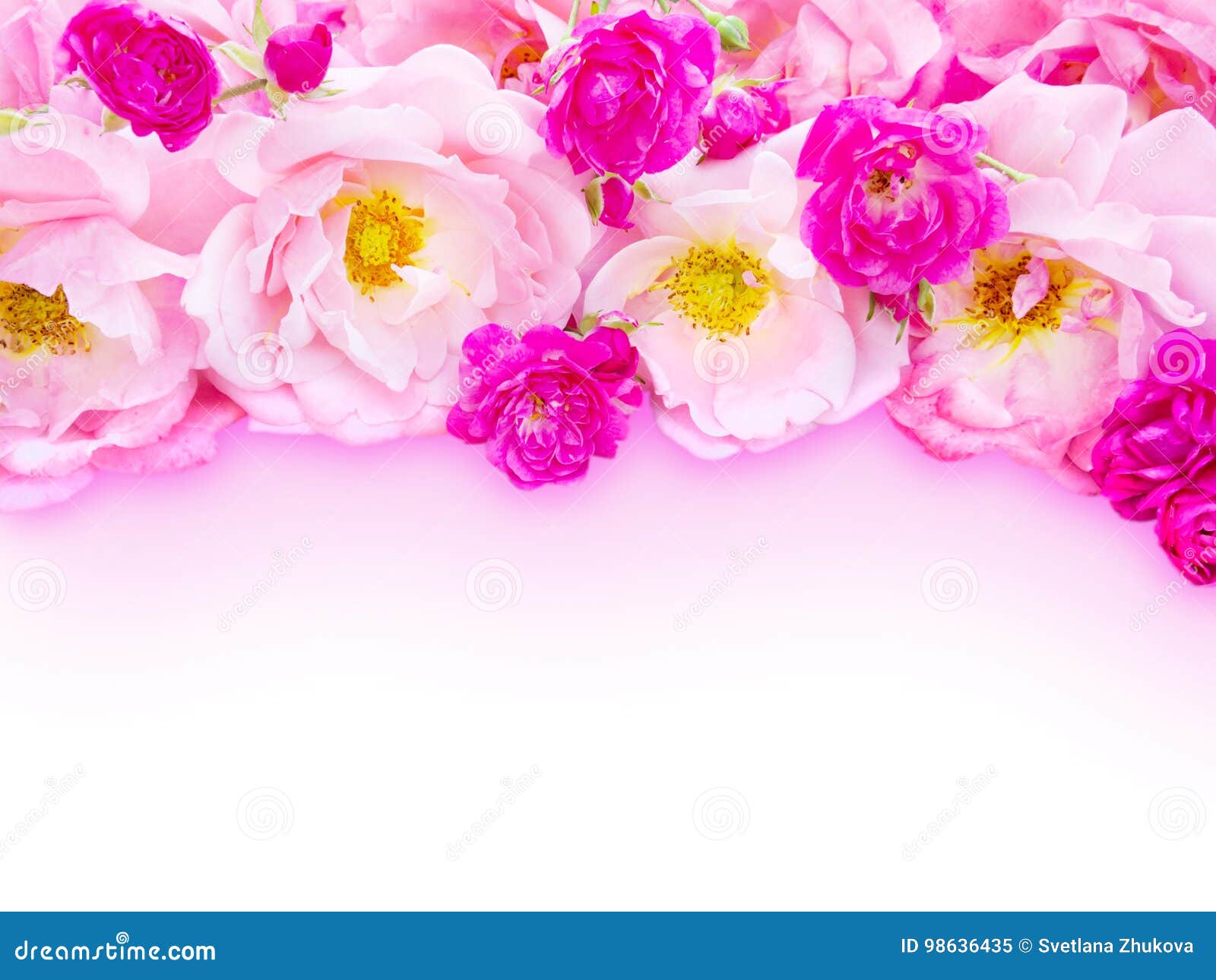 Rosa gelockte Rosen und kleine vibrierende rosa Rosen auf dem alten verwitterten hölzernen Brett