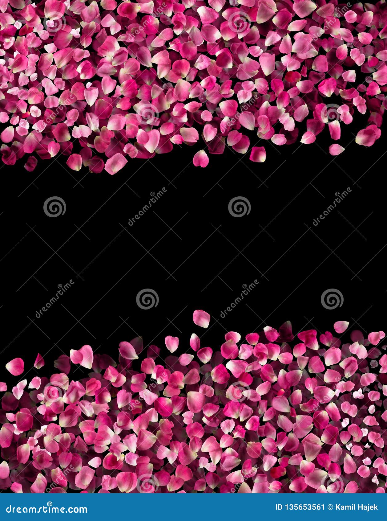 Rose Petals Falling On Black Images – Browse 4,947 Stock Photos, Vectors,  and Video