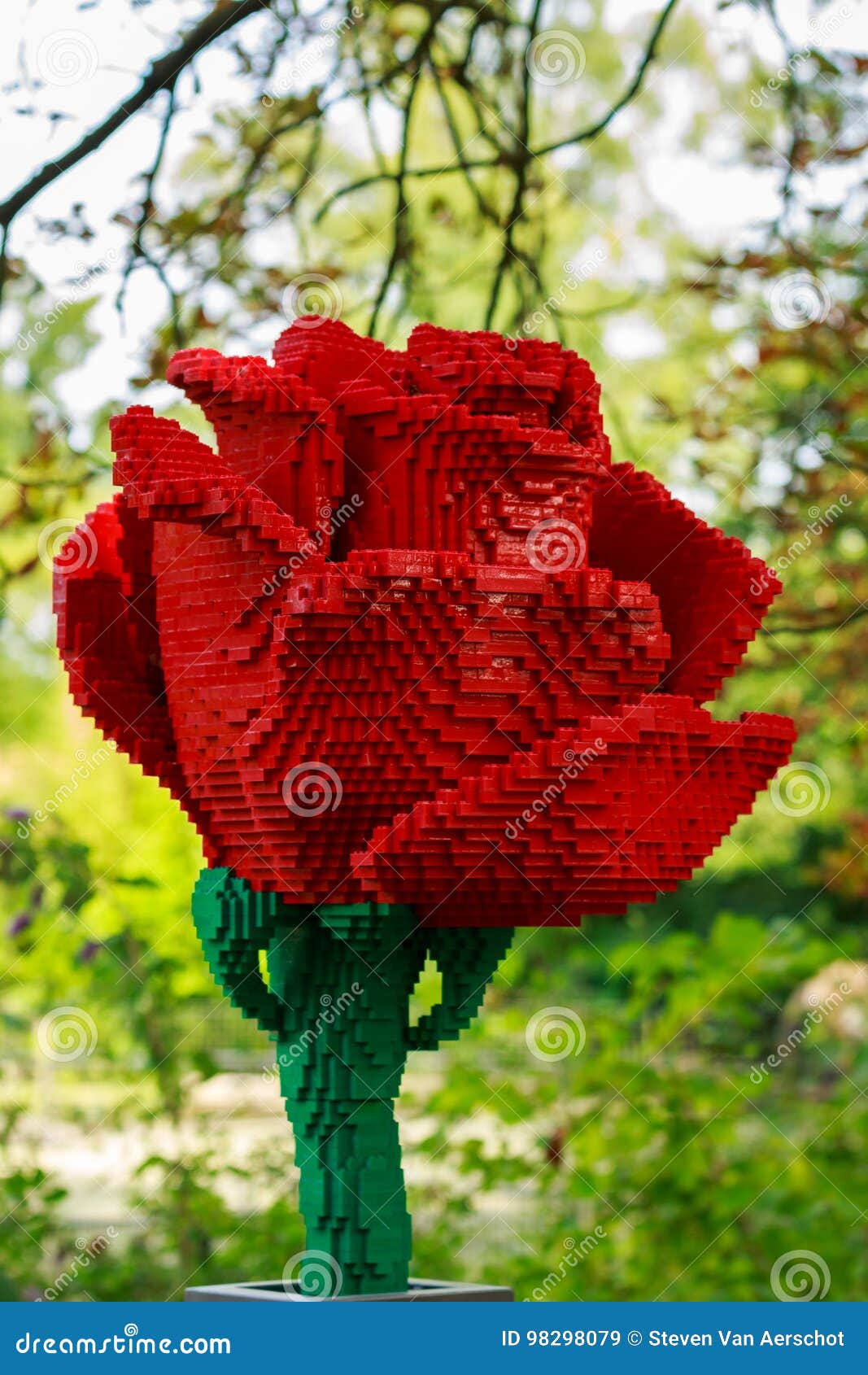 Rosa Rossa in Lego Nello Zoo Di Planckendael Immagine Stock Editoriale -  Immagine di fiore, mattoni: 98298079