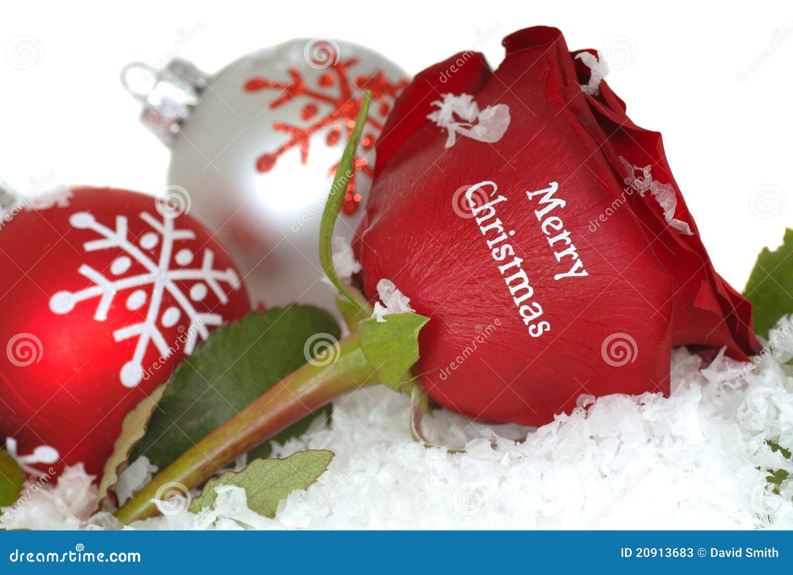 Rosa Vermelha Que Diz O Feliz Natal Nela Imagem de Stock - Imagem de  colorido, ornamentos: 20913683