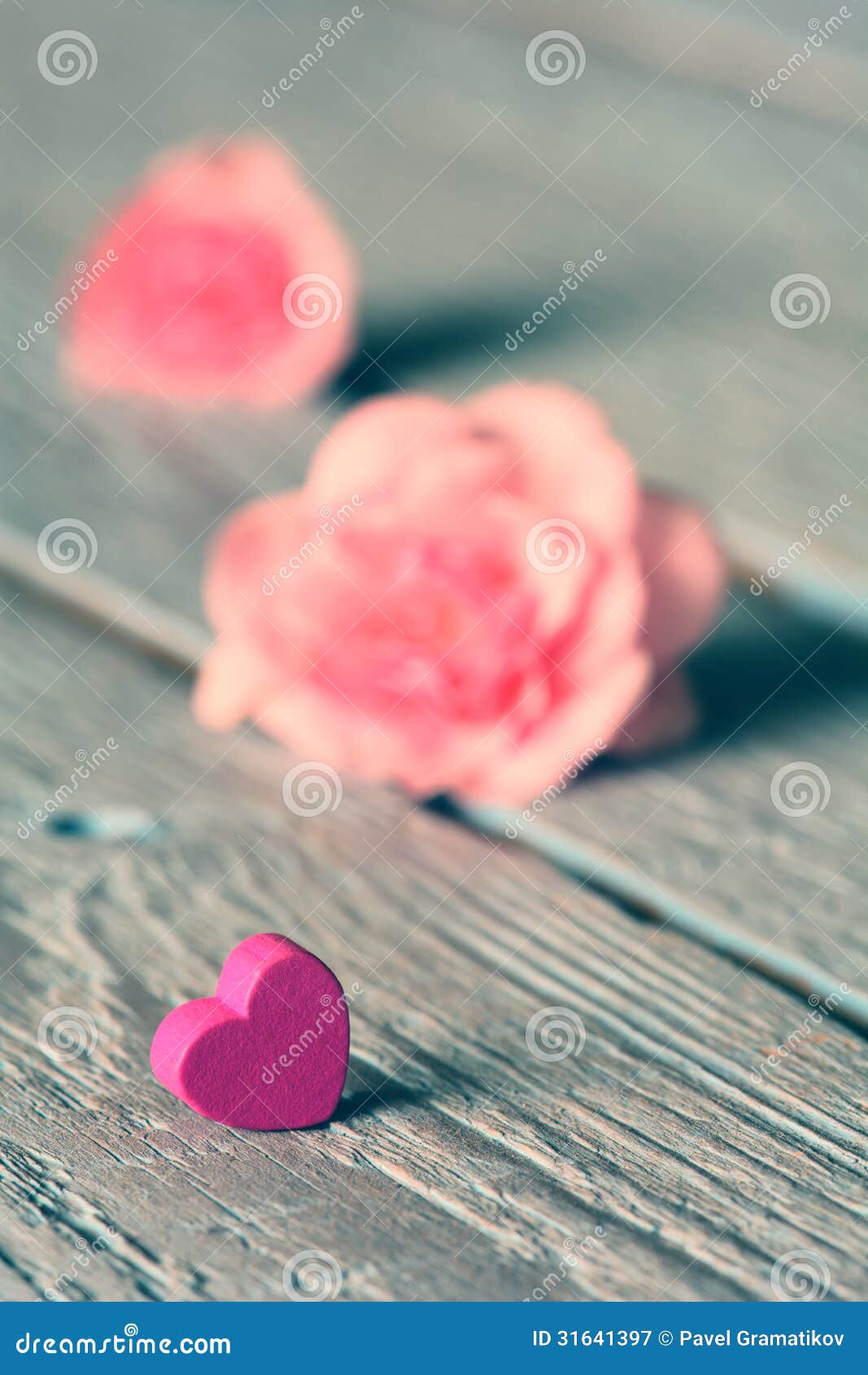 Rosa y corazón apacibles del rosa en la tabla de madera. Profundidad del campo baja.