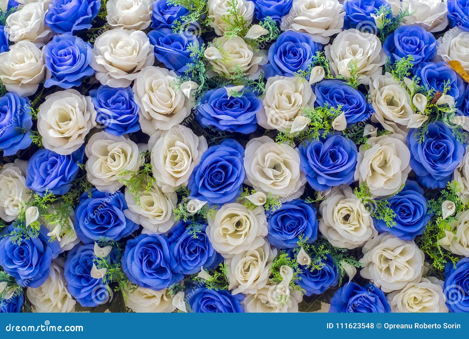 Rosas Azuis E Brancas Artificiais Foto de Stock - Imagem de fresco, jardim:  111623548