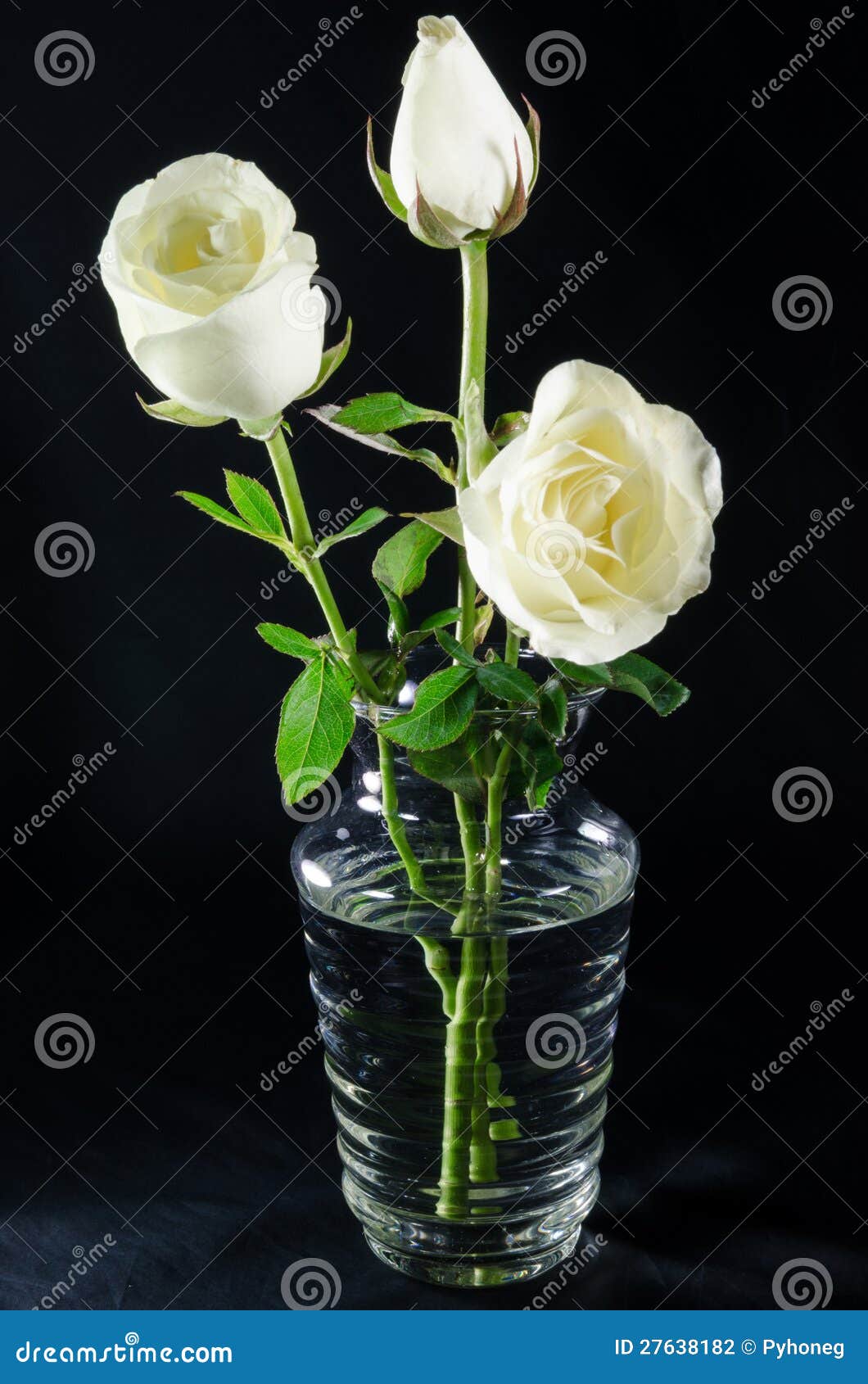 Rosas Blancas En El Florero De Cristal Foto de archivo - Imagen de hoja,  agua: 27638182