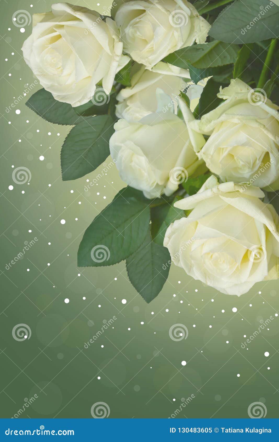Rosas Blancas Hermosas En Fondo Verde Imagen de archivo - Imagen de  belleza, flores: 130483605