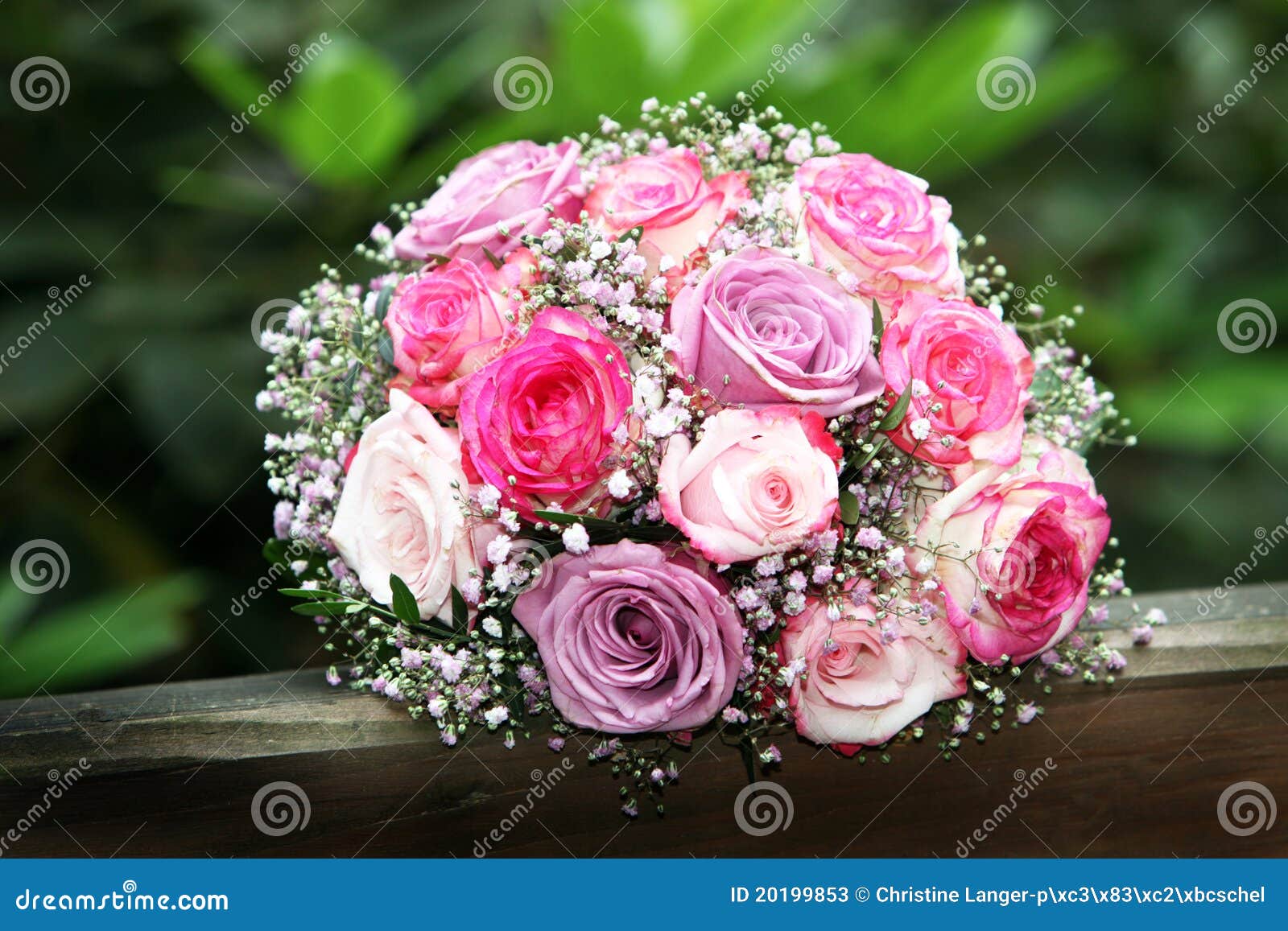 Rosas En Color De Rosa Y Lila Imagen de archivo - Imagen de felicitaciones,  hoja: 20199853