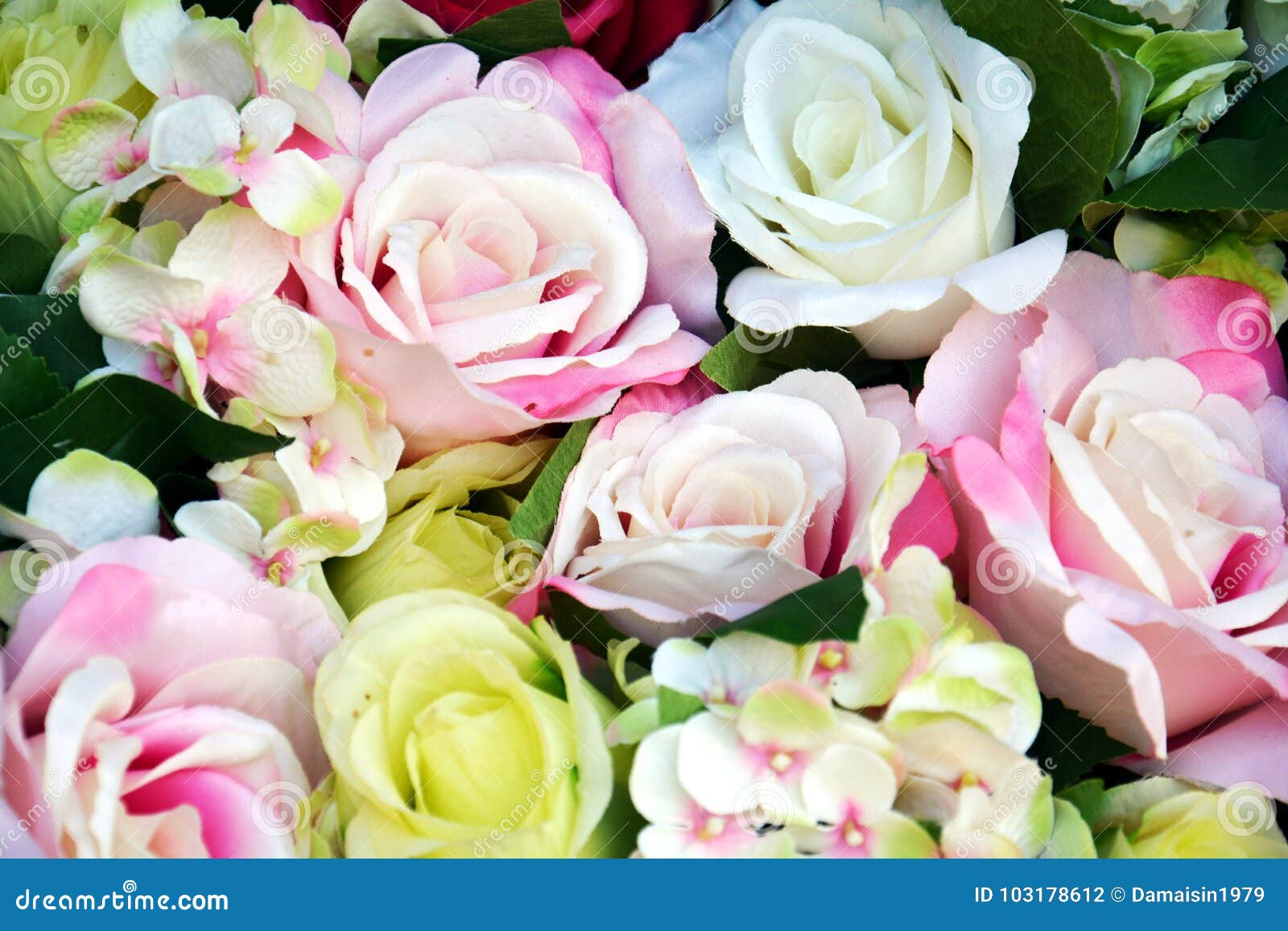 Rosas, Flores Coloridas Y Hojas, Fondo Natural Foto de archivo - Imagen de  rosa, invierno: 103178612