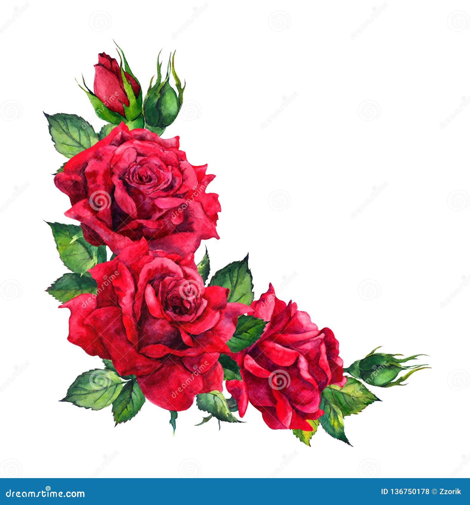 Rosas Rojas - Composición Floral De La Esquina Acuarela Para La Invitación  De Boda Stock de ilustración - Ilustración de acuarela, ramo: 136750178