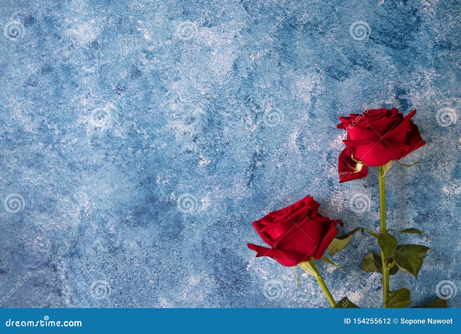 Rosas Rojas En Fondo De Acrílico Azul Y Blanco Foto de archivo - Imagen de  cubo, belleza: 154255612