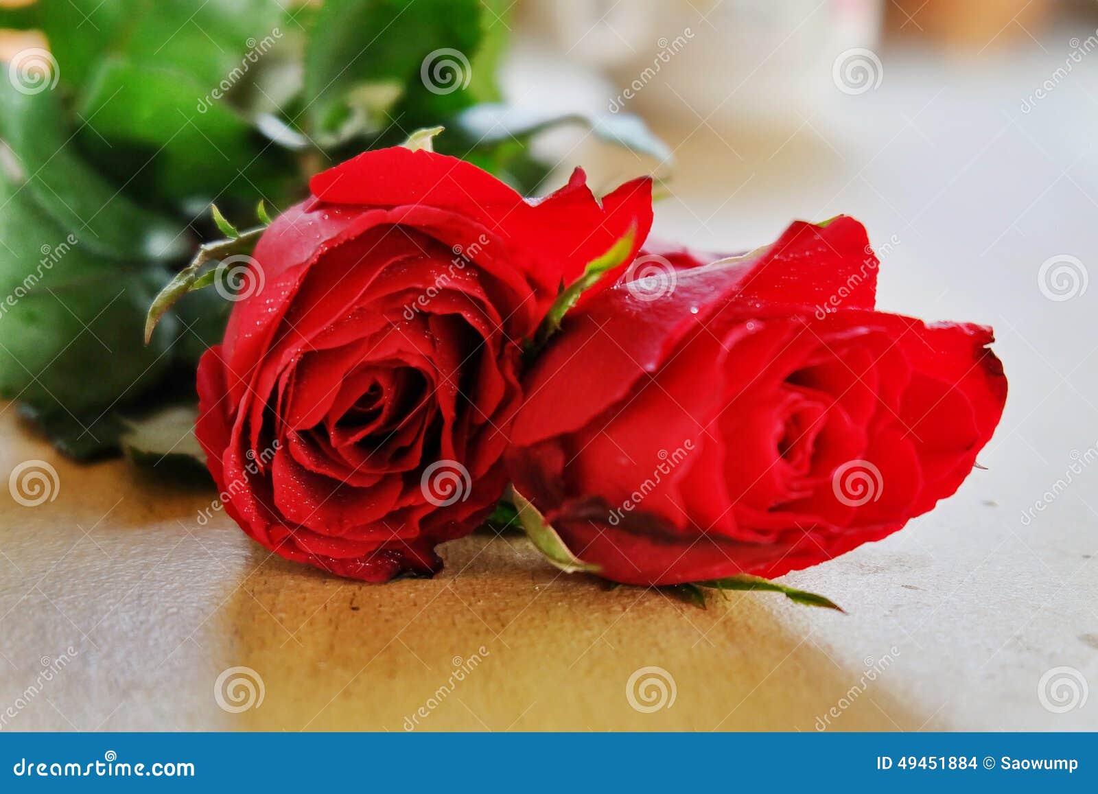 Rosas Rojas Hermosas Para Mi Amor Foto de archivo - Imagen de hermoso,  valentinas: 49451884