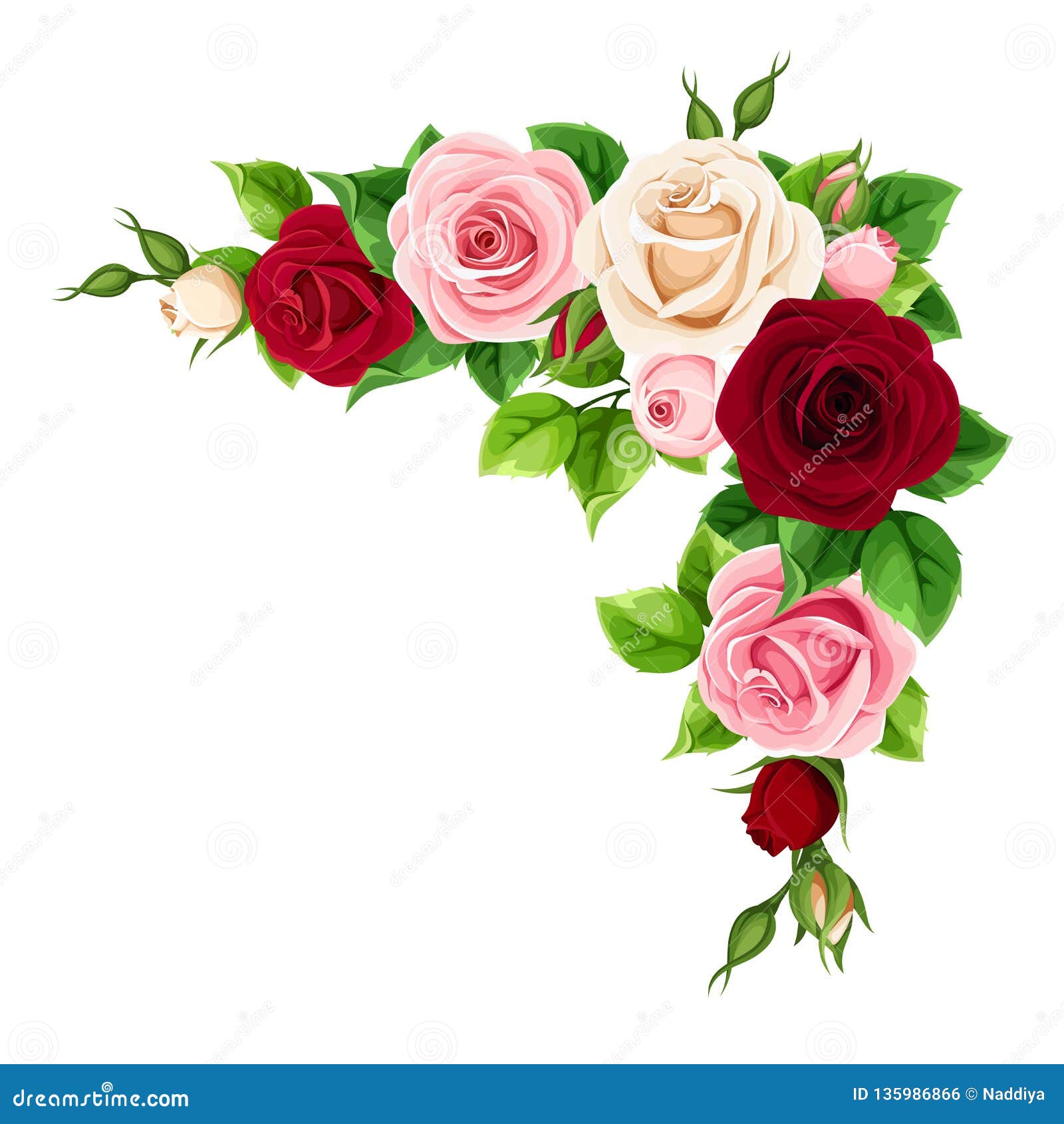 Rosas Rojas, Rosadas Y Blancas Fondo De La Esquina Del Vector Ilustración  del Vector - Ilustración de blanco, flores: 135986866