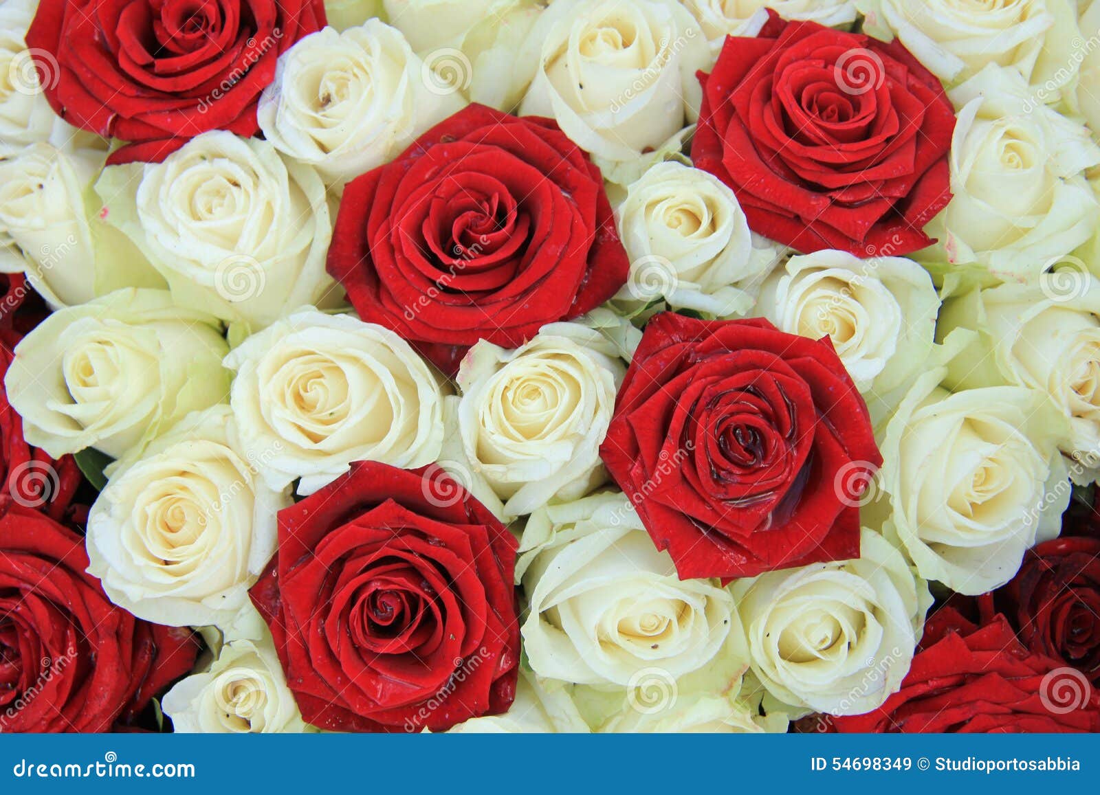 Rosas Rojas Y Blancas En Un Arreglo De La Boda Imagen de archivo - Imagen  de detalle, flores: 54698349