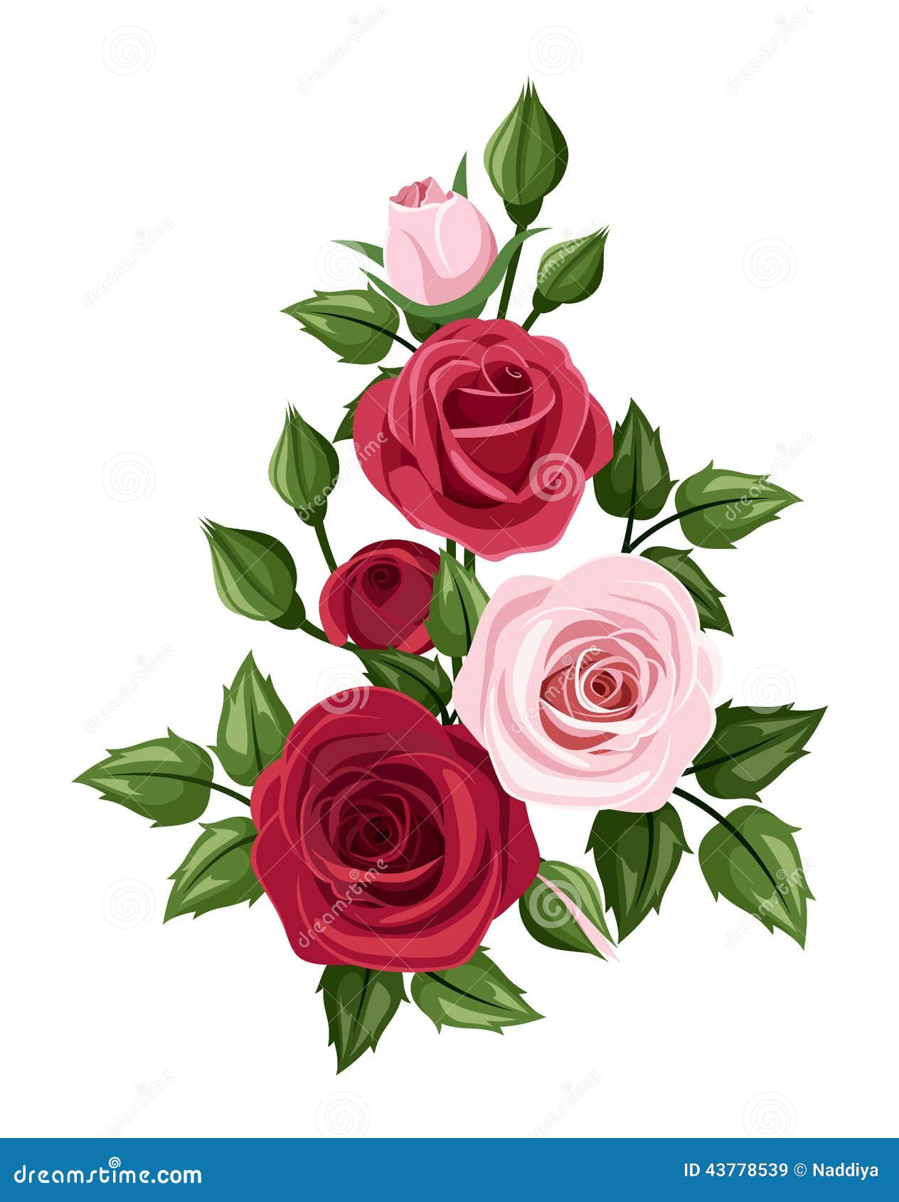 rosas rojas y pétalos de rosa sobre fondo blanco 6210369 Vector en
