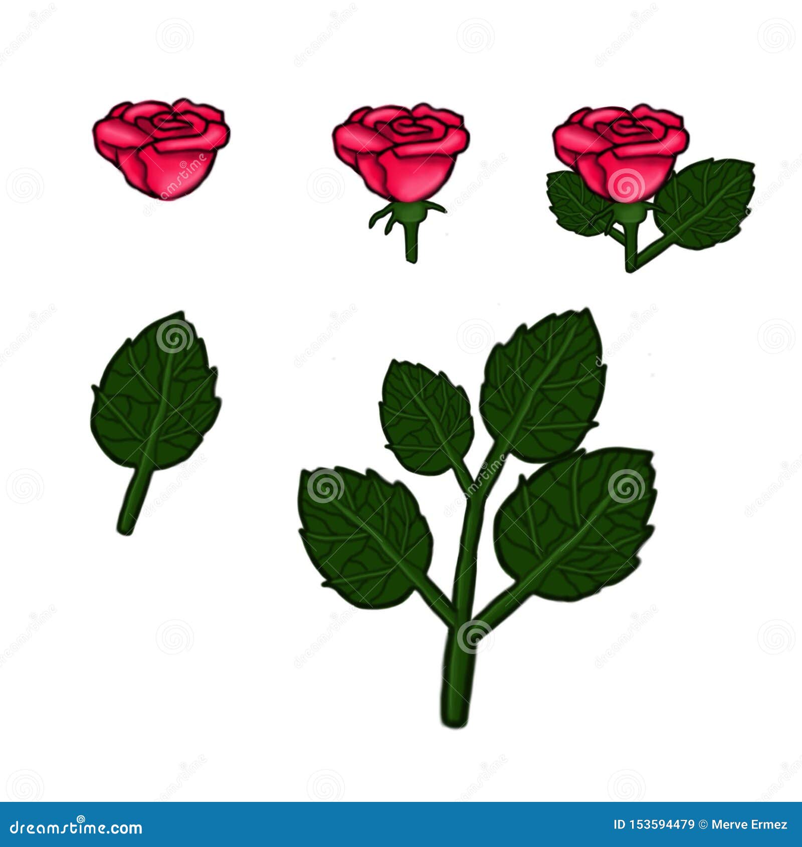 Rosas Rosadas Hermosas, Hojas Jpg, Png Imagen de archivo - Ilustración de  flores, ocupado: 153594479