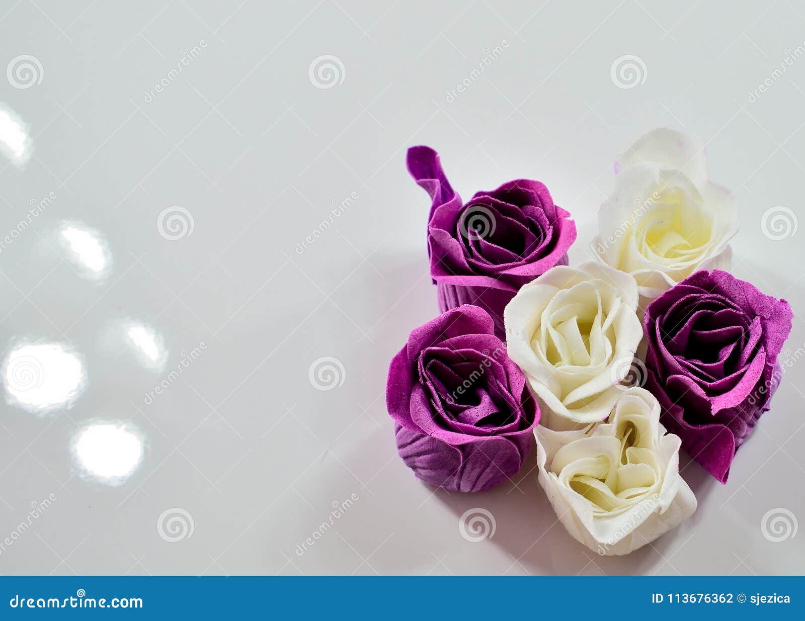 Rosas violetas y blancas foto de archivo. Imagen de presente - 113676362