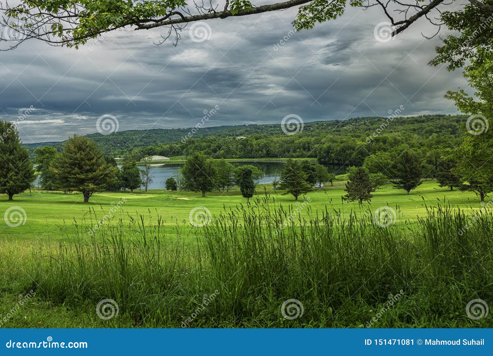 roscoe conkling park 2