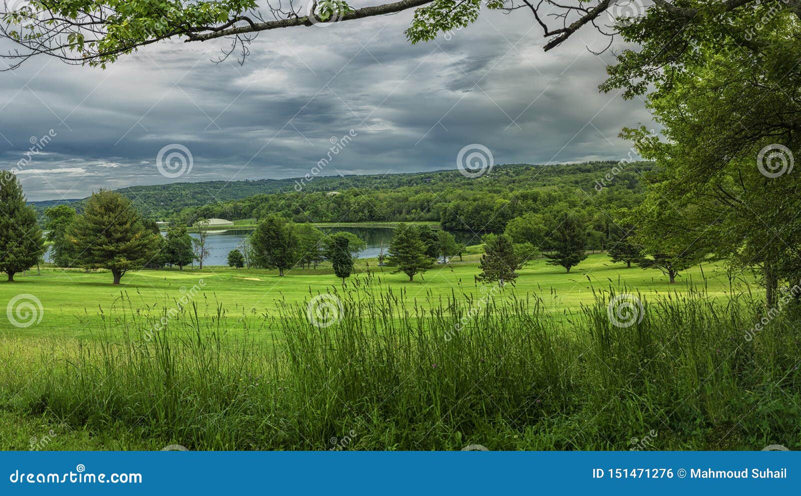 roscoe conkling park 5