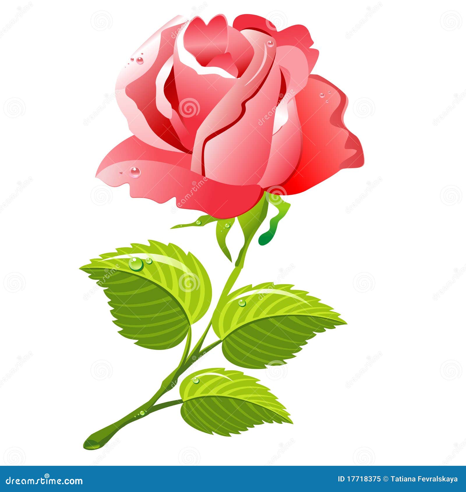 Rose stock vector. Illustration of prickly, seasonal - 17718375