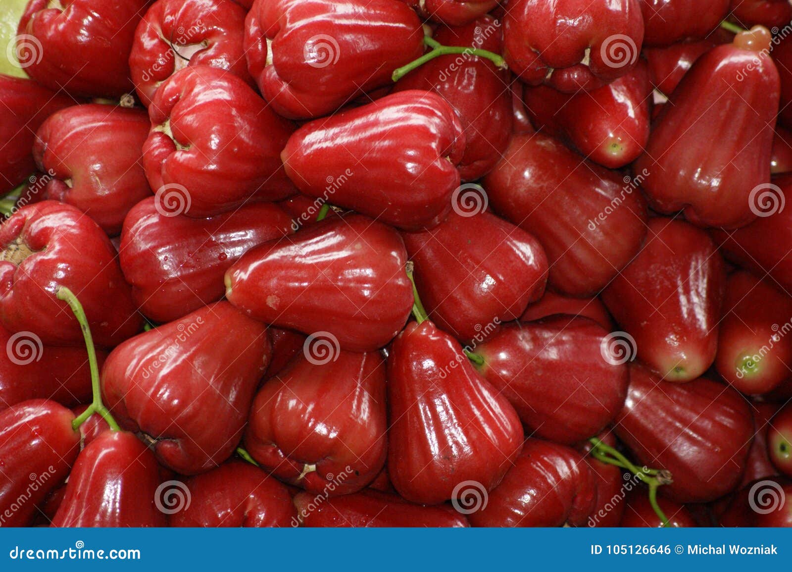 Rose Apple photo stock. Image du culture, pile, brillant 105126646