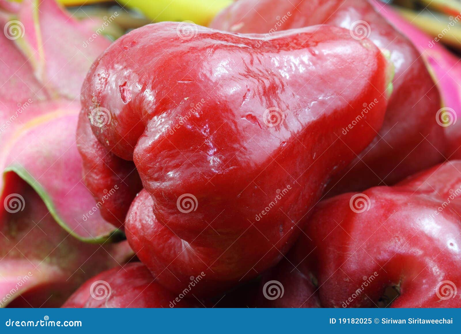 Rose apple stock image. Image of fresh, love, background 19182025
