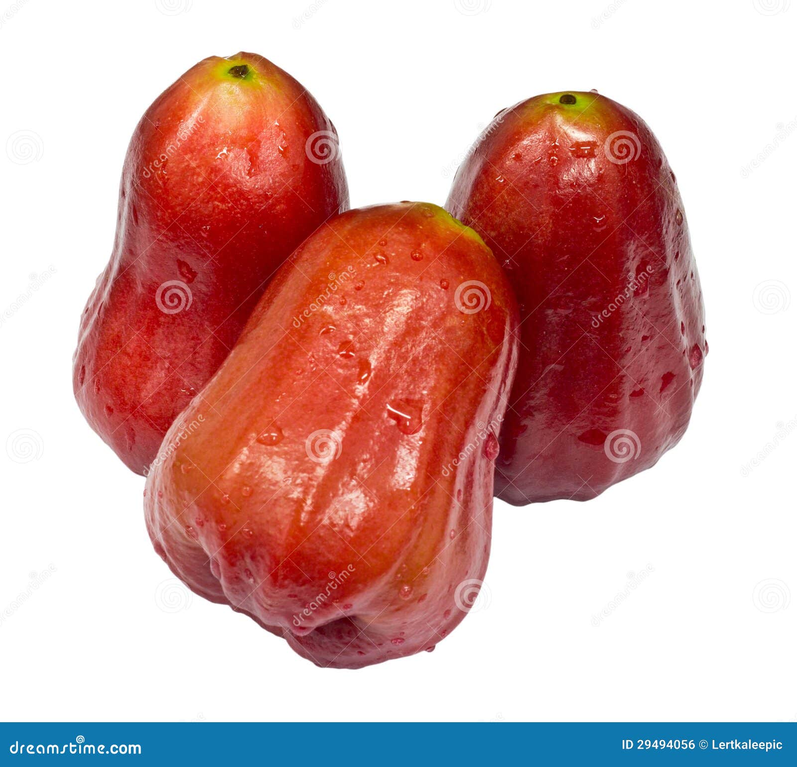 Rose apple stock photo. Image of nutrition, bell, makopa 29494056