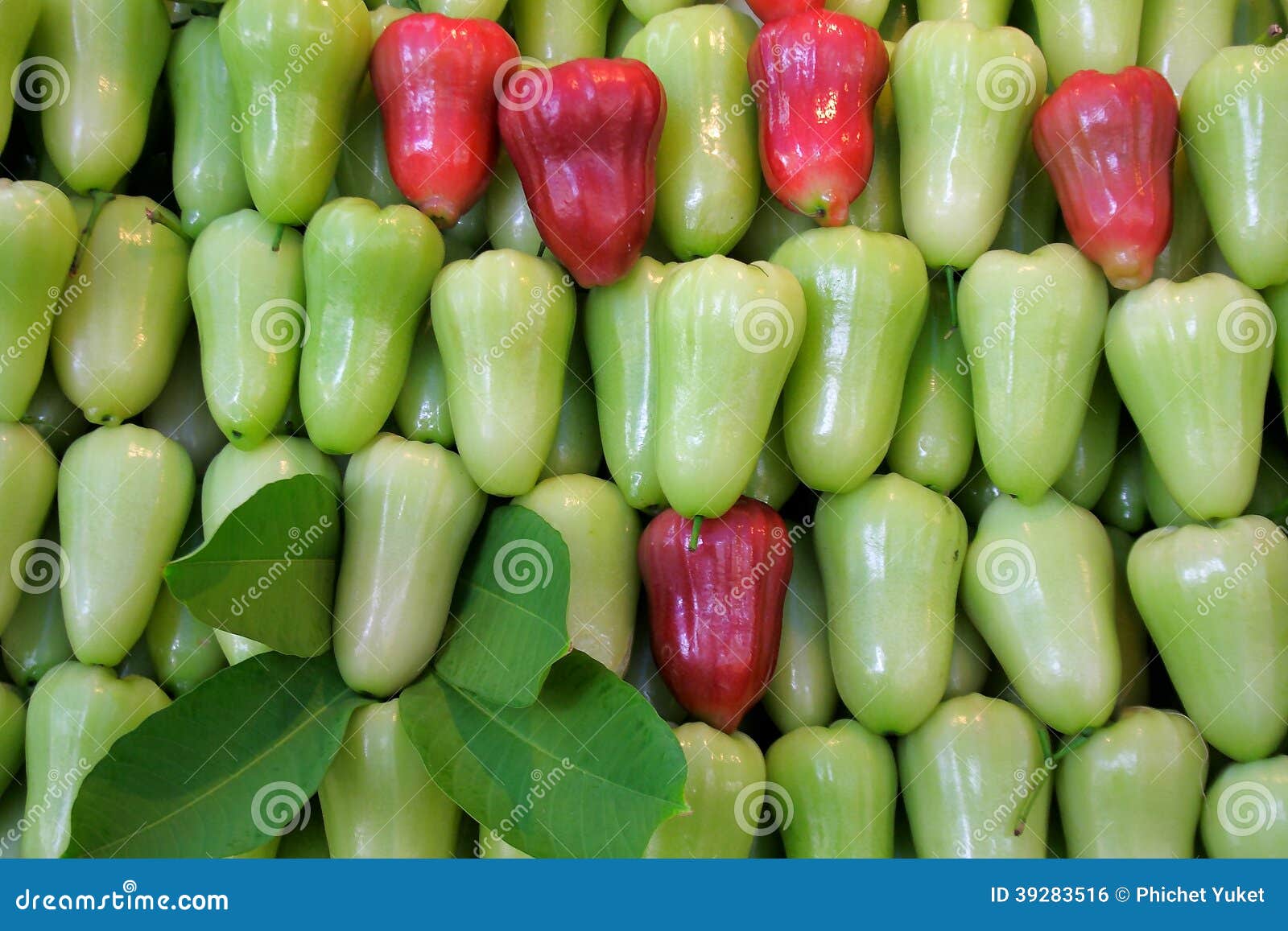 Rose apple stock photo. Image of pretty, goodly, fair 39283516
