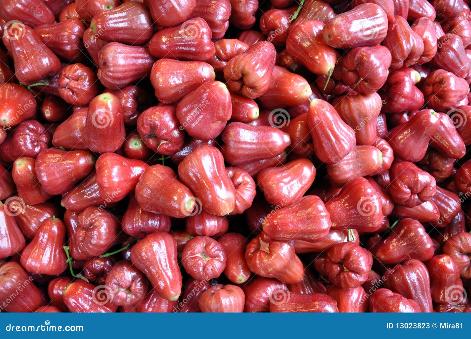 Rose apple fruits stock image. Image of rose, edible 13023823
