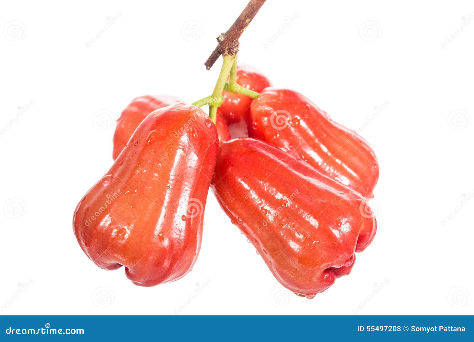 Rose apple stock photo. Image of tropical, fruit, fresh 55497208