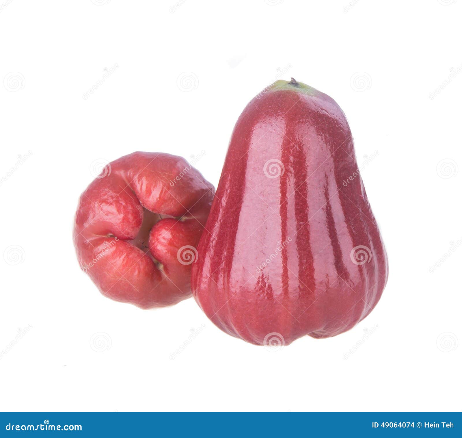 Rose Apple. Rose Apple on the Background Stock Photo Image of chomphu