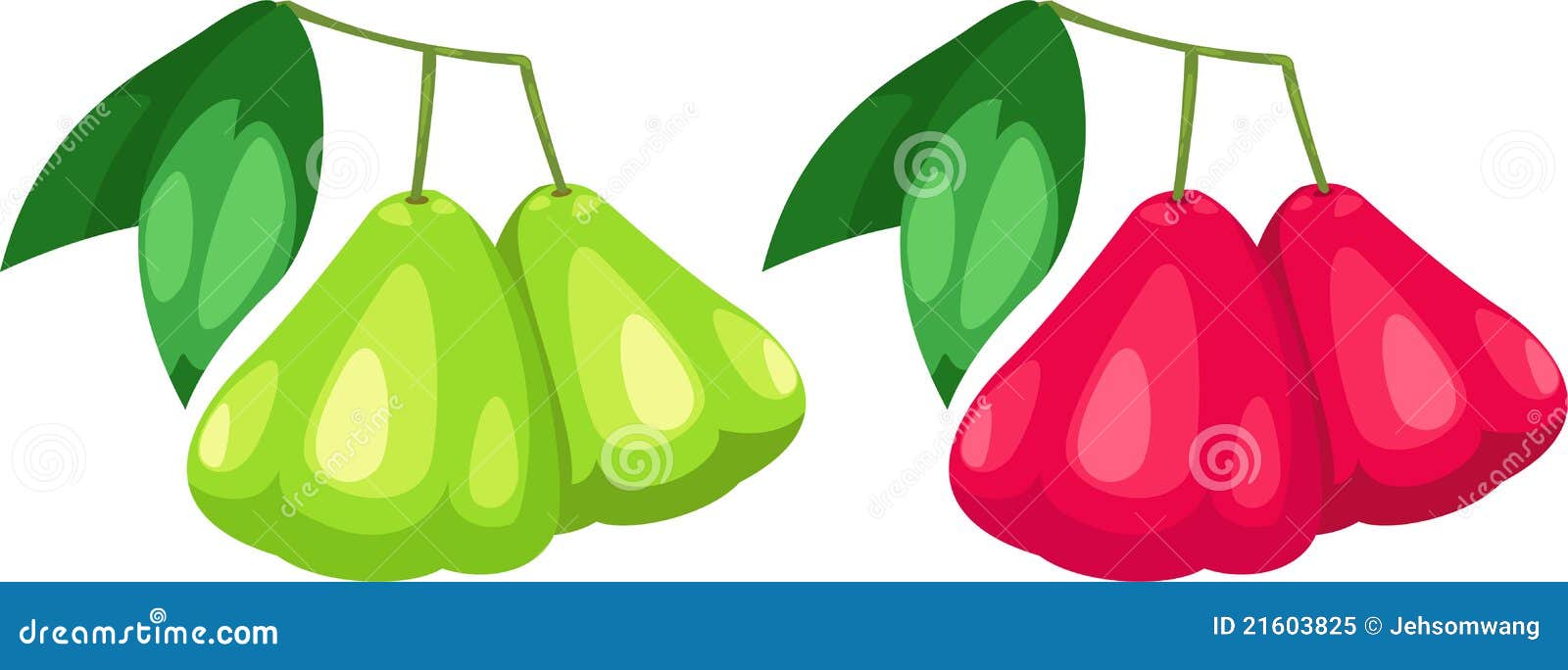 Rose apple vector stock vector. Illustration of pink 21603825