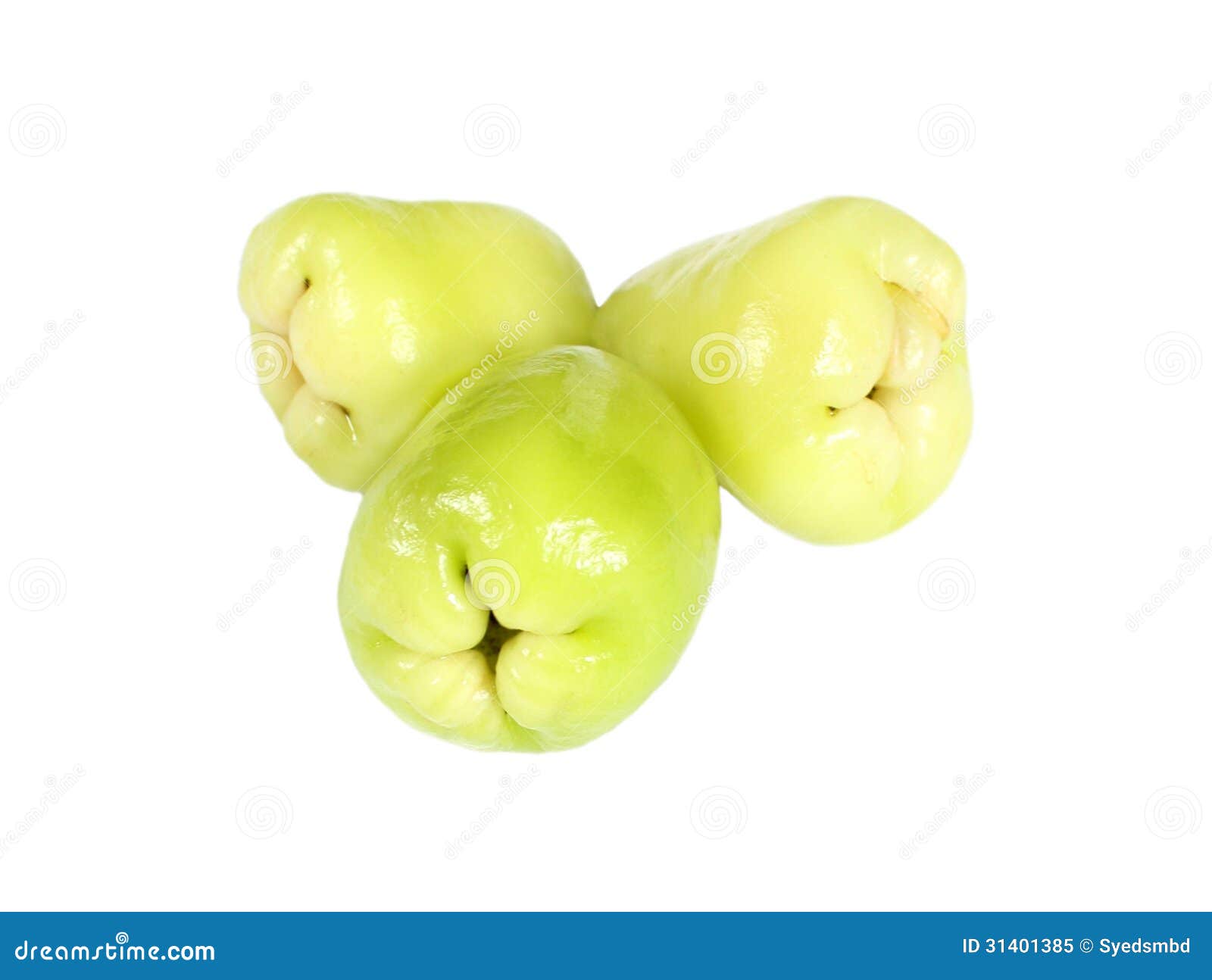 Rose apple or Water apple stock image. Image of jambu 31401385
