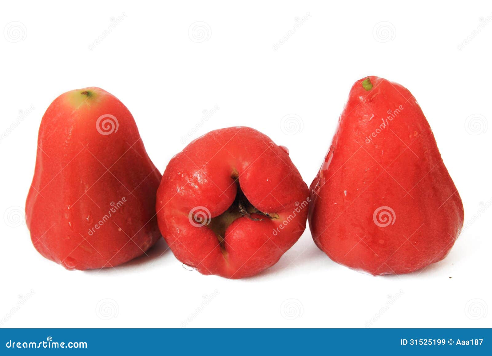 Rose apple stock image. Image of malay, edible, fruit 31525199