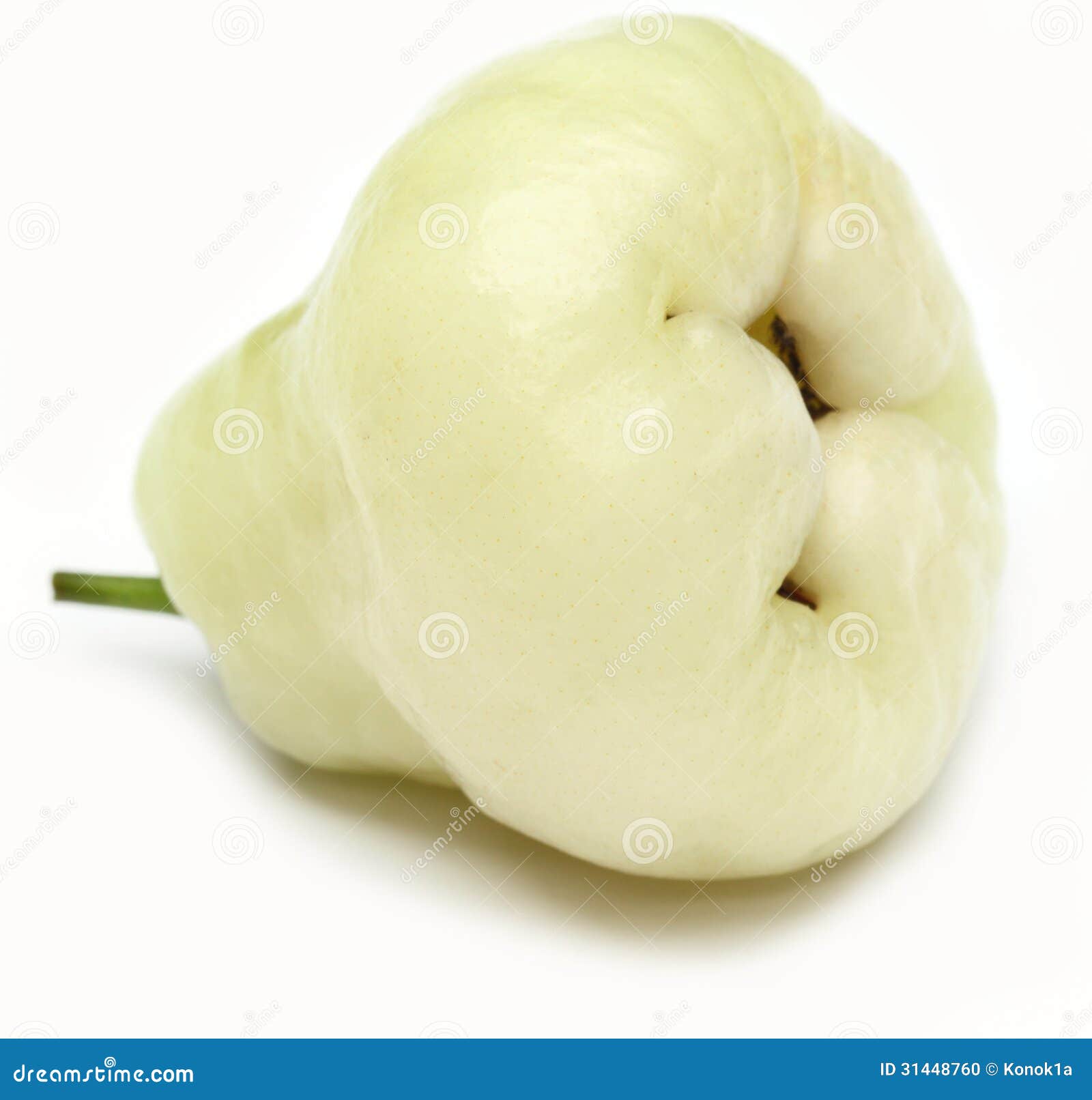 Rose apple stock photo. Image of rose, aqua, flower, bangladesh 31448760