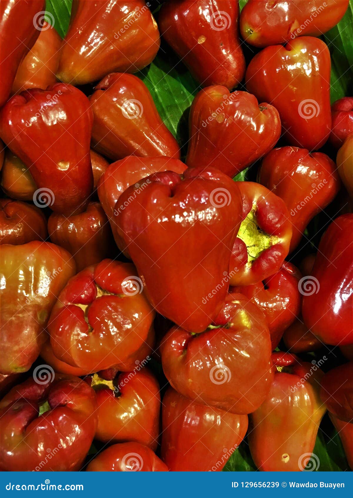 Rose Apples.Fresh Fruit for Diet Stock Image Image of beautiful