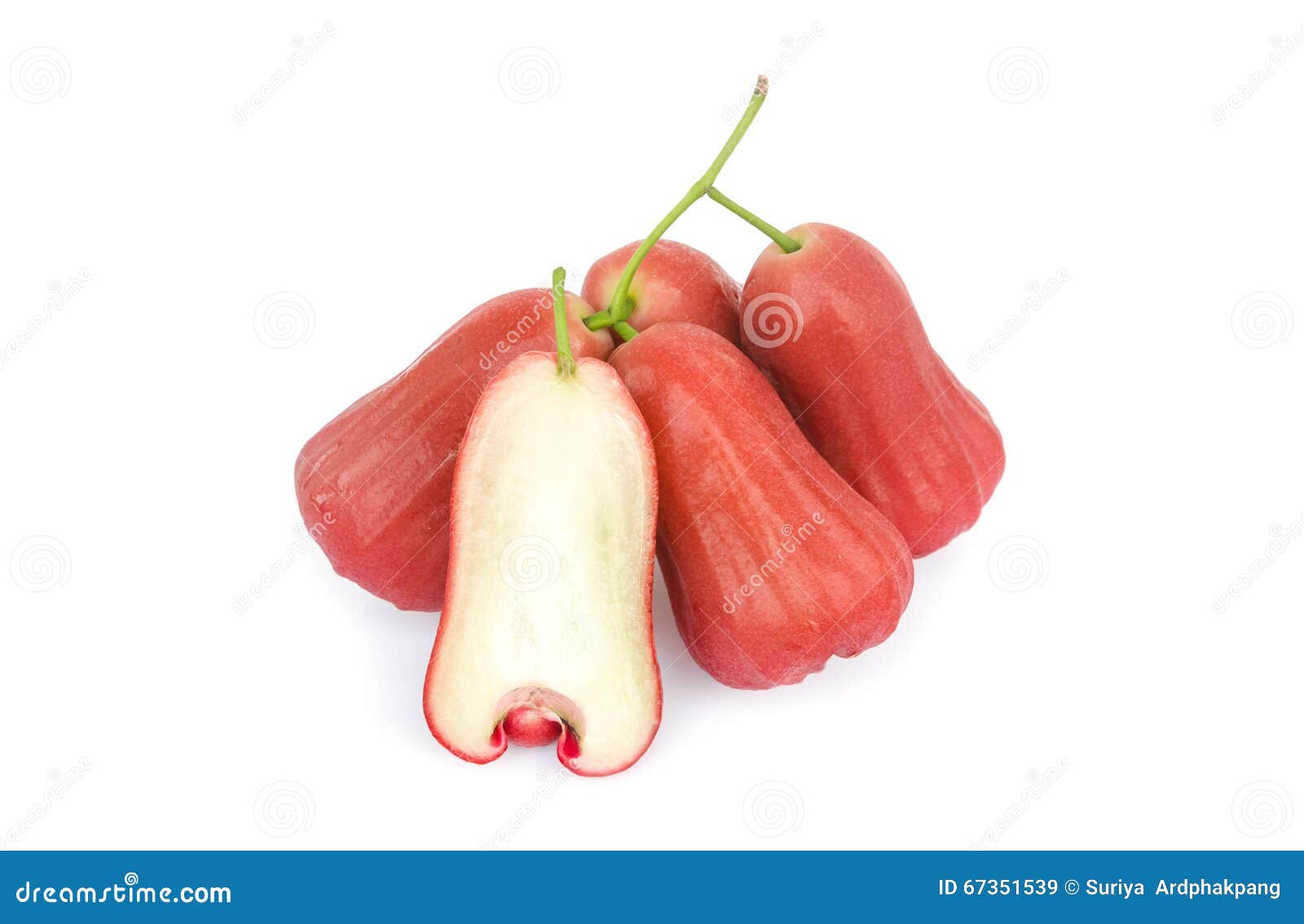 Rose Apples Isolated on White Background Stock Image Image of fresh