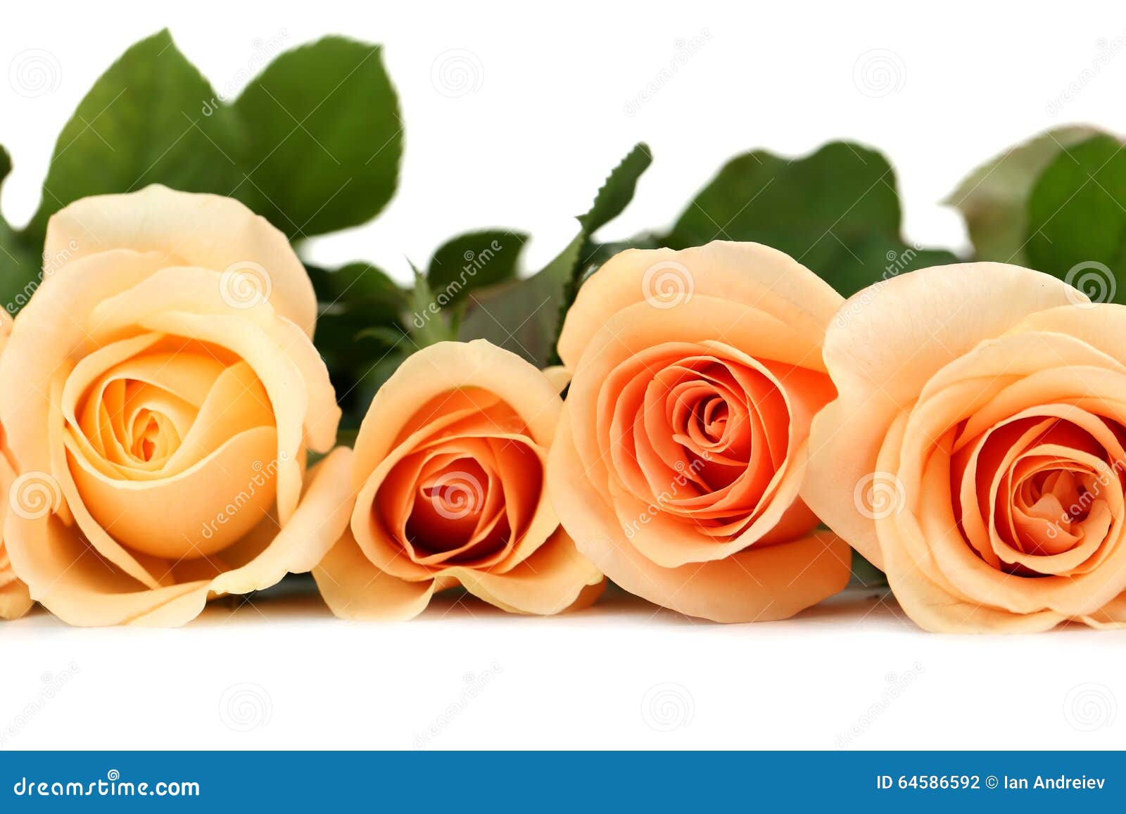 Casa Delle Bambole Accessori Da Giardino Botanico Fiori Di Argilla - Foto 11