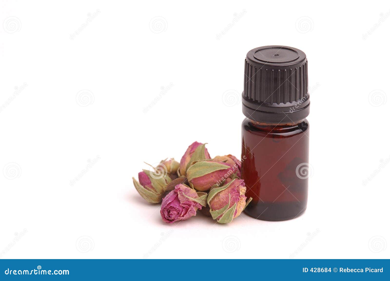 Rose Aromatherapy stock photo. Image of aromatherapy, soul 428684