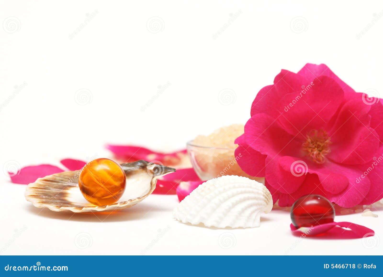 Rose Aromatherapy Picture. Image 5466718
