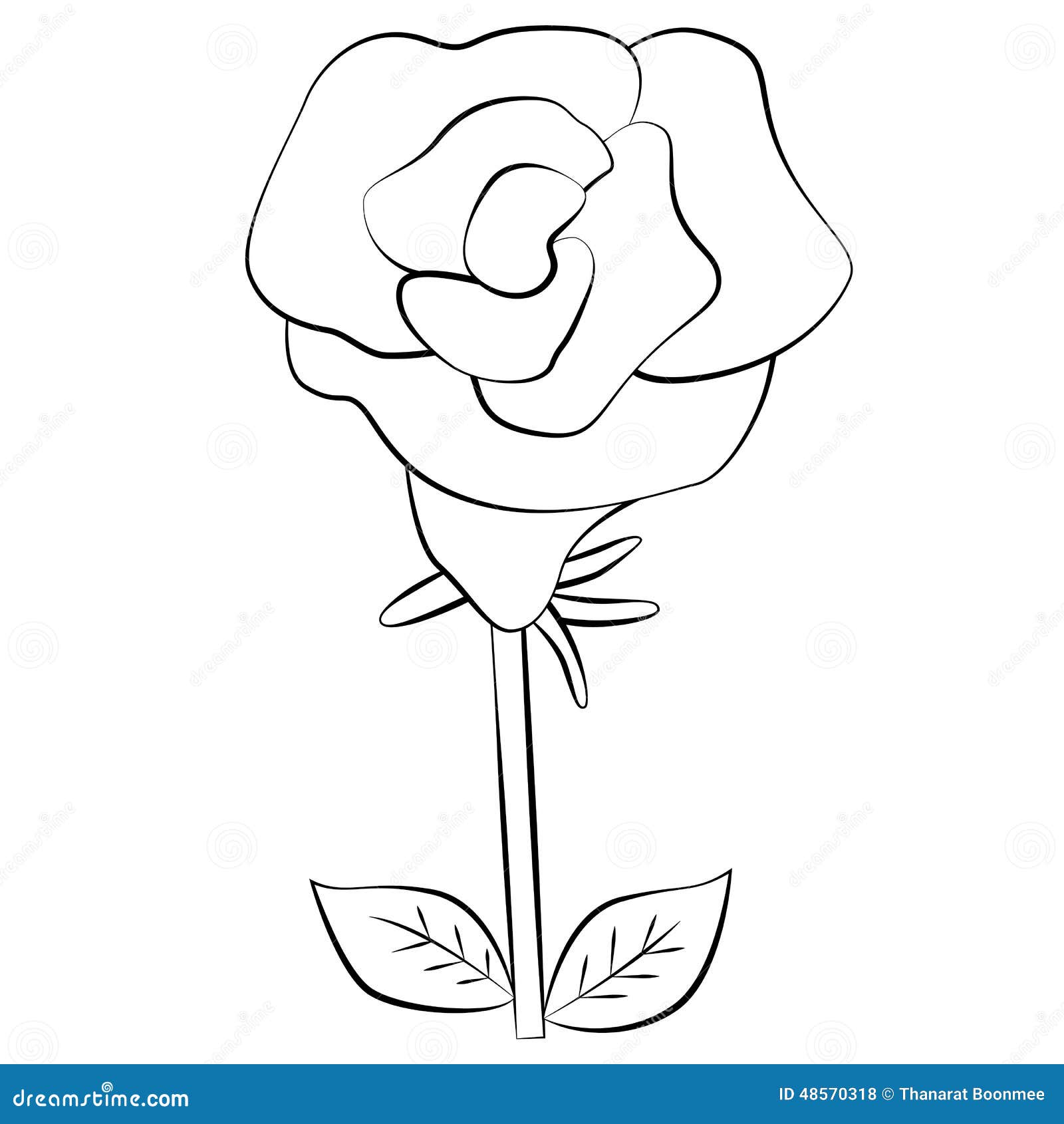 Rose stock vector. Illustration of pretty, outline, decoration - 48570318