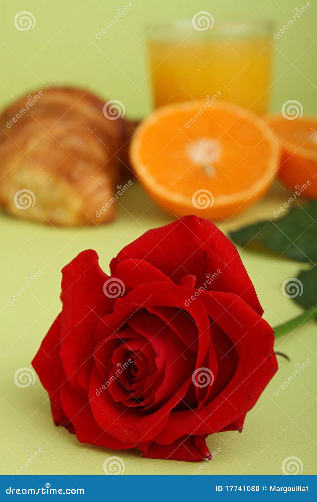 Rose and breakfast stock photo. Image of nature, juice 17741080