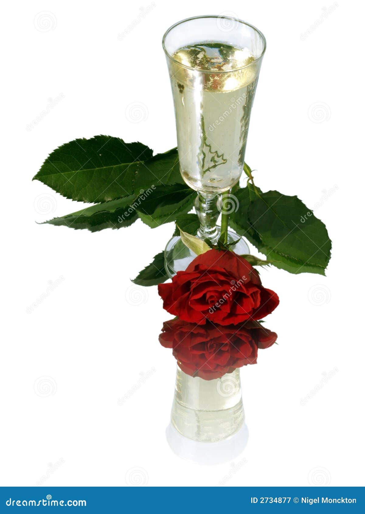 Rose and champagne stock image. Image of sparkle, romantic 2734877
