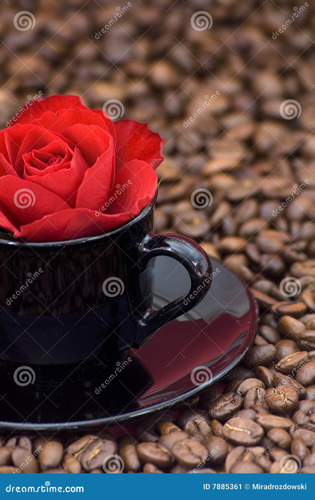 Rose and coffee stock image. Image of morning, rose, espresso 7885361