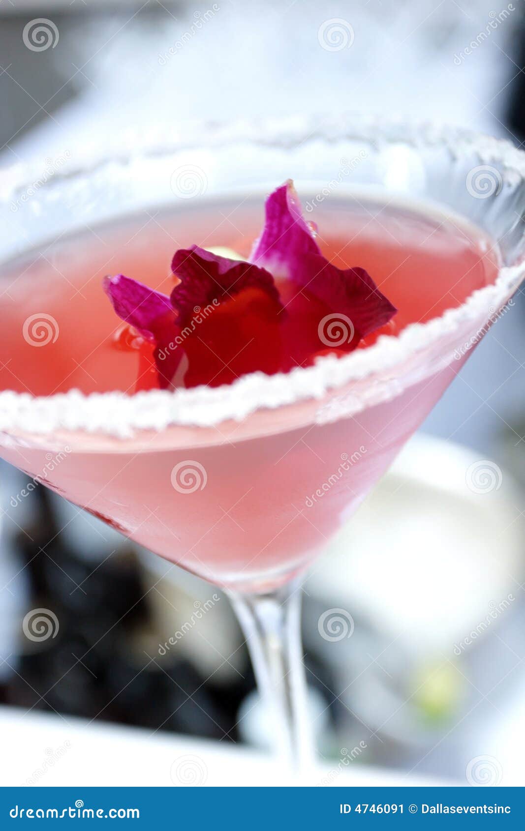 Rose Colored Salted Martini with a Flower in it Stock Image Image of